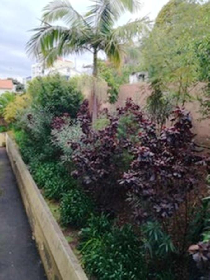 Charming In With Balcony And View Apartamento Funchal (Madeira)