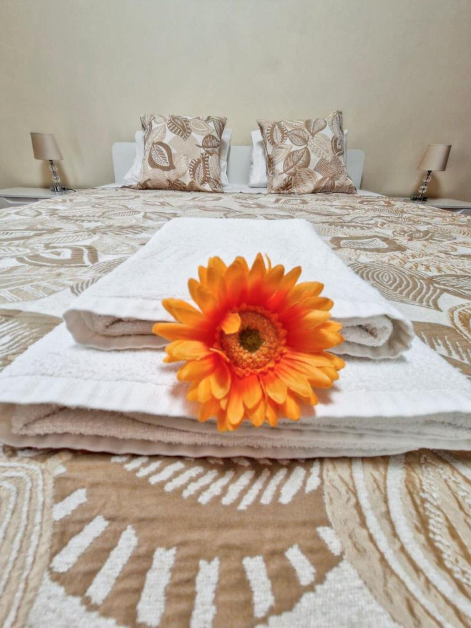 Apartment Charming In With Balcony And View Funchal (Madeira)